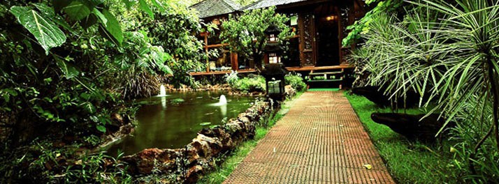 728/The Tree House & Water House Resort - Jaipur 02.jpg